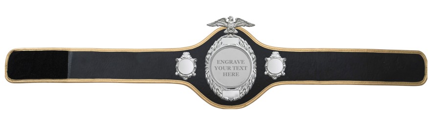 CHAMPIONSHIP BELT-PRO288/S/ENGRAVE - 10 COLOURS